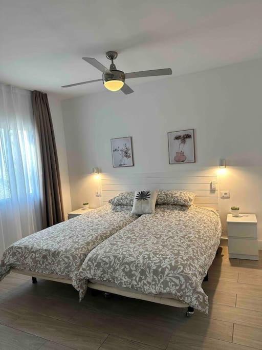 Pachi Beach Alisios Playa 科拉雷侯 外观 照片