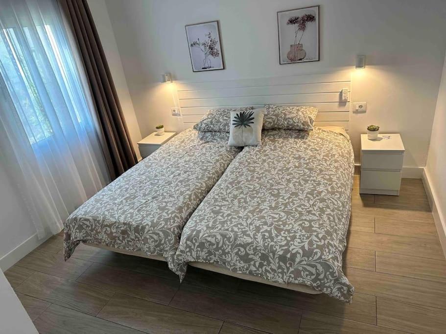 Pachi Beach Alisios Playa 科拉雷侯 外观 照片